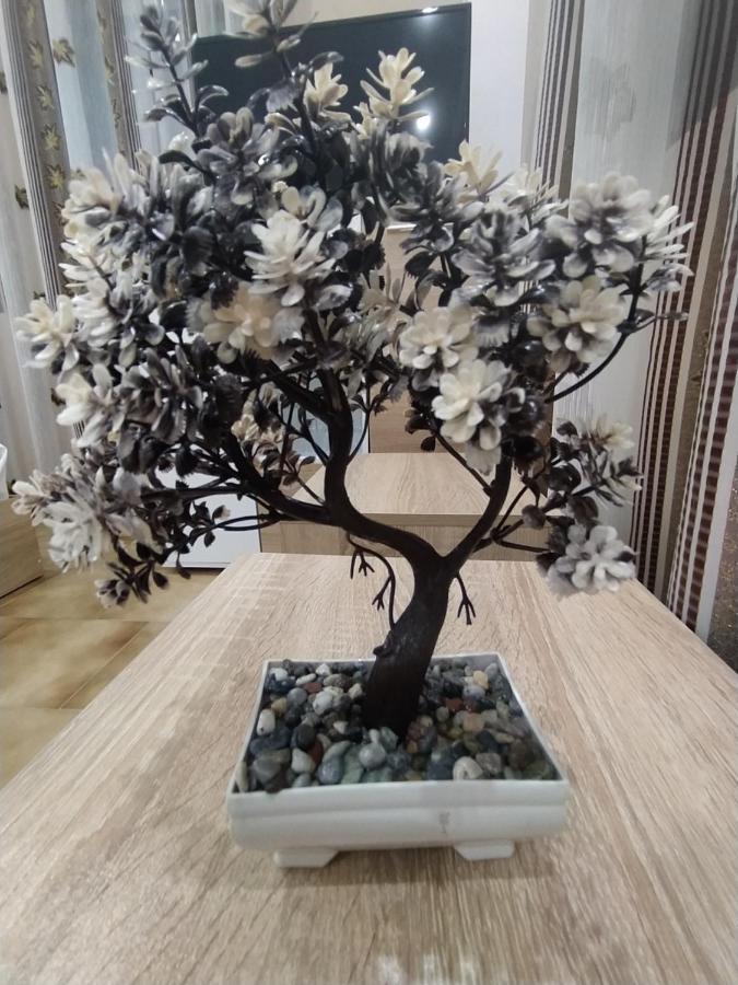 Каламанди 아세노브그라드 외부 사진