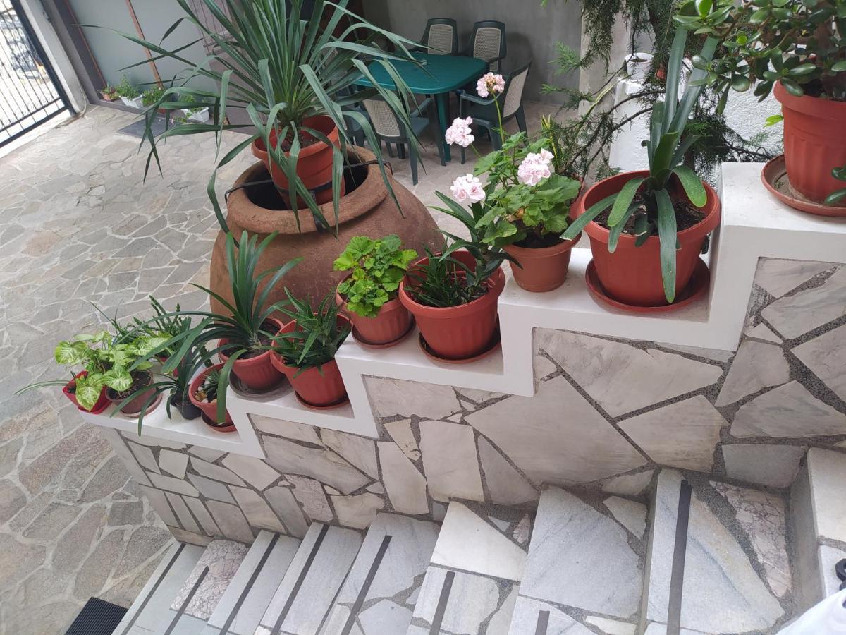 Каламанди 아세노브그라드 외부 사진